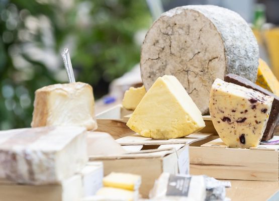 cheeses